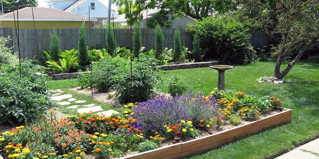 Medicinal Garden Kit-Plants