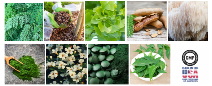 Mindquell Ingredients