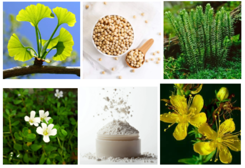 NeuroSharp Ingredients