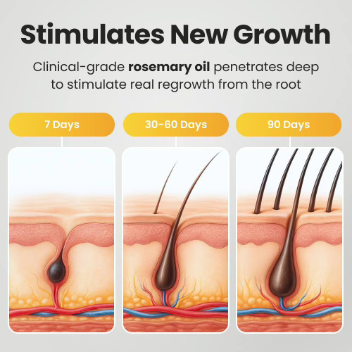 WellaNaturals Hair Oil-How it works