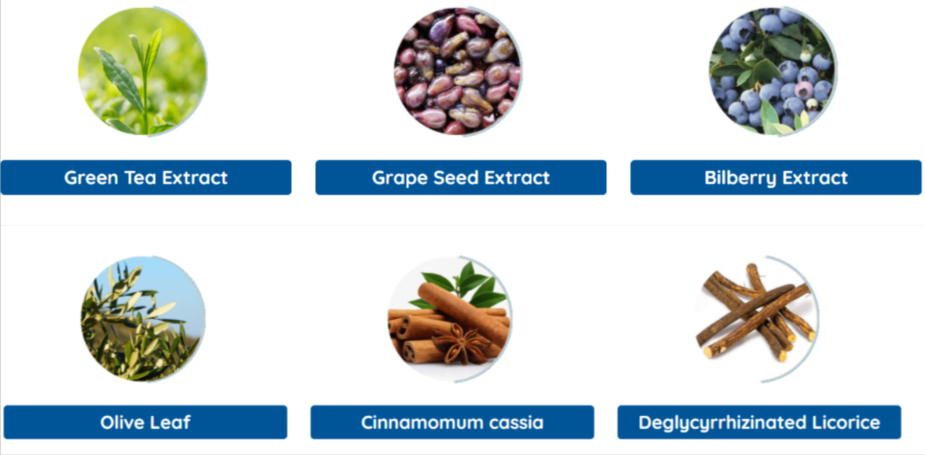Neuro Serge Ingredients