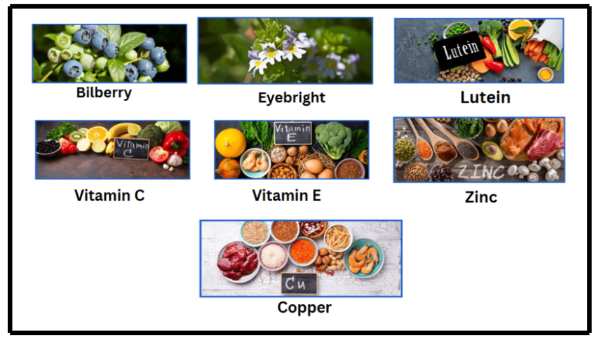 Sight Fresh Ingredients.