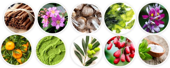 Lean Bliss Ingredients